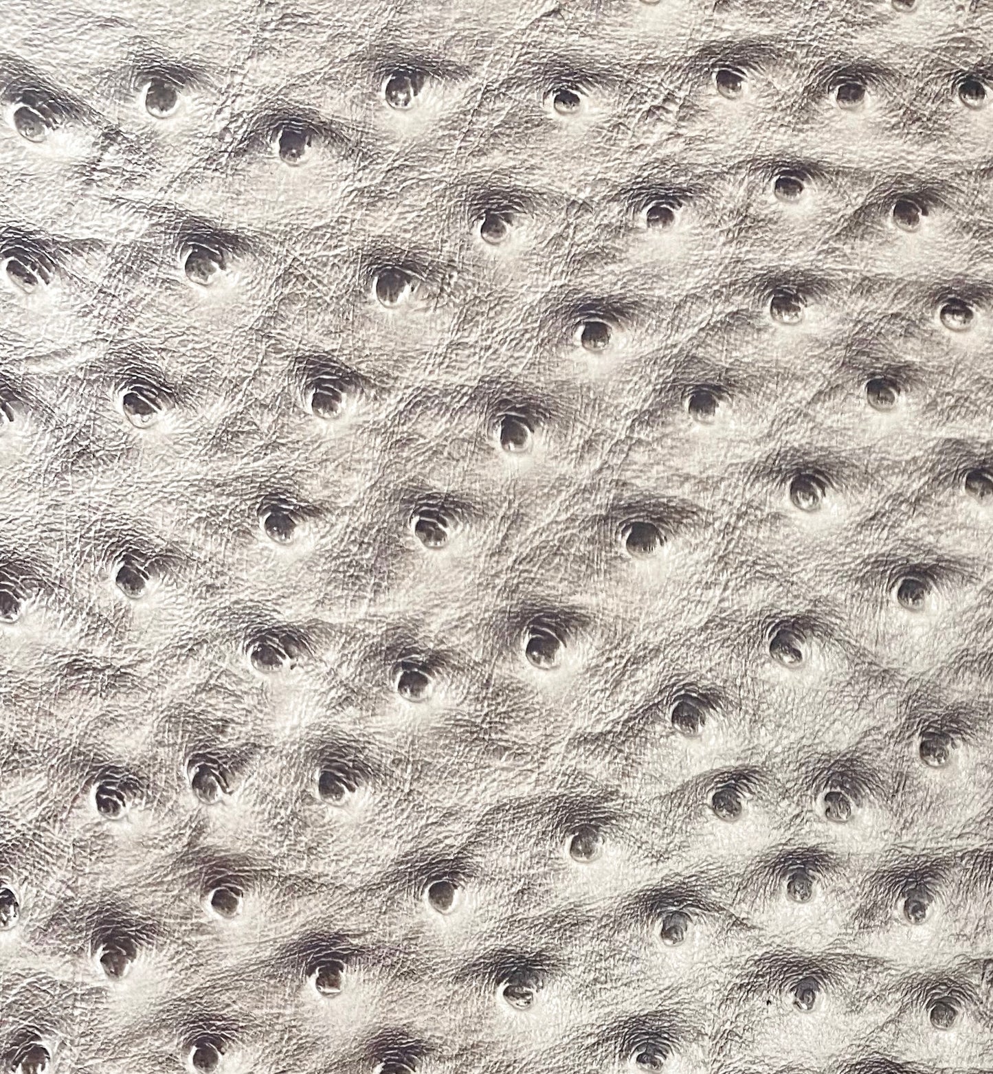 The Everything Crossbody — Taupe 'Ostrich'