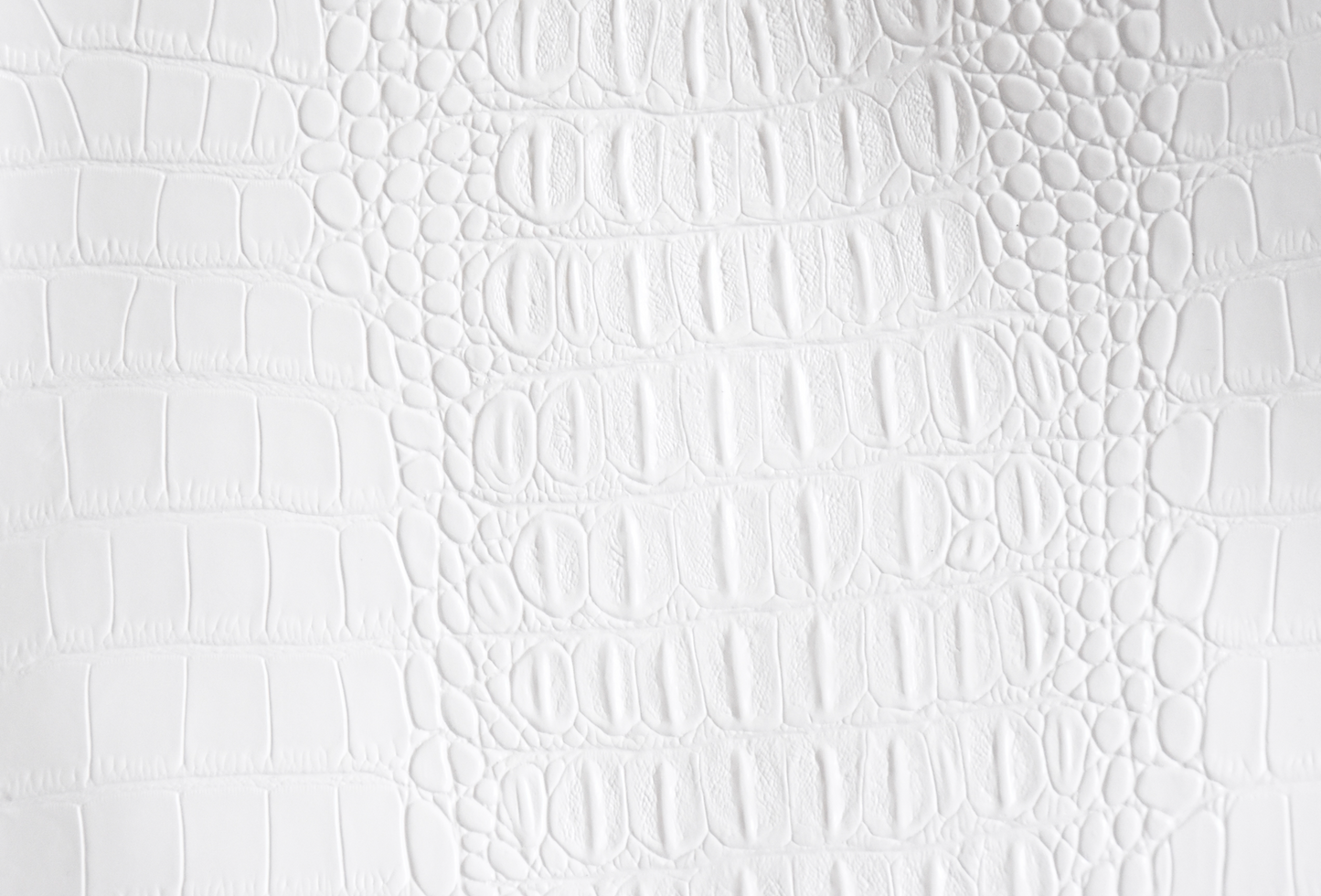 The Essential Clutch — Snow 'Crocodile'