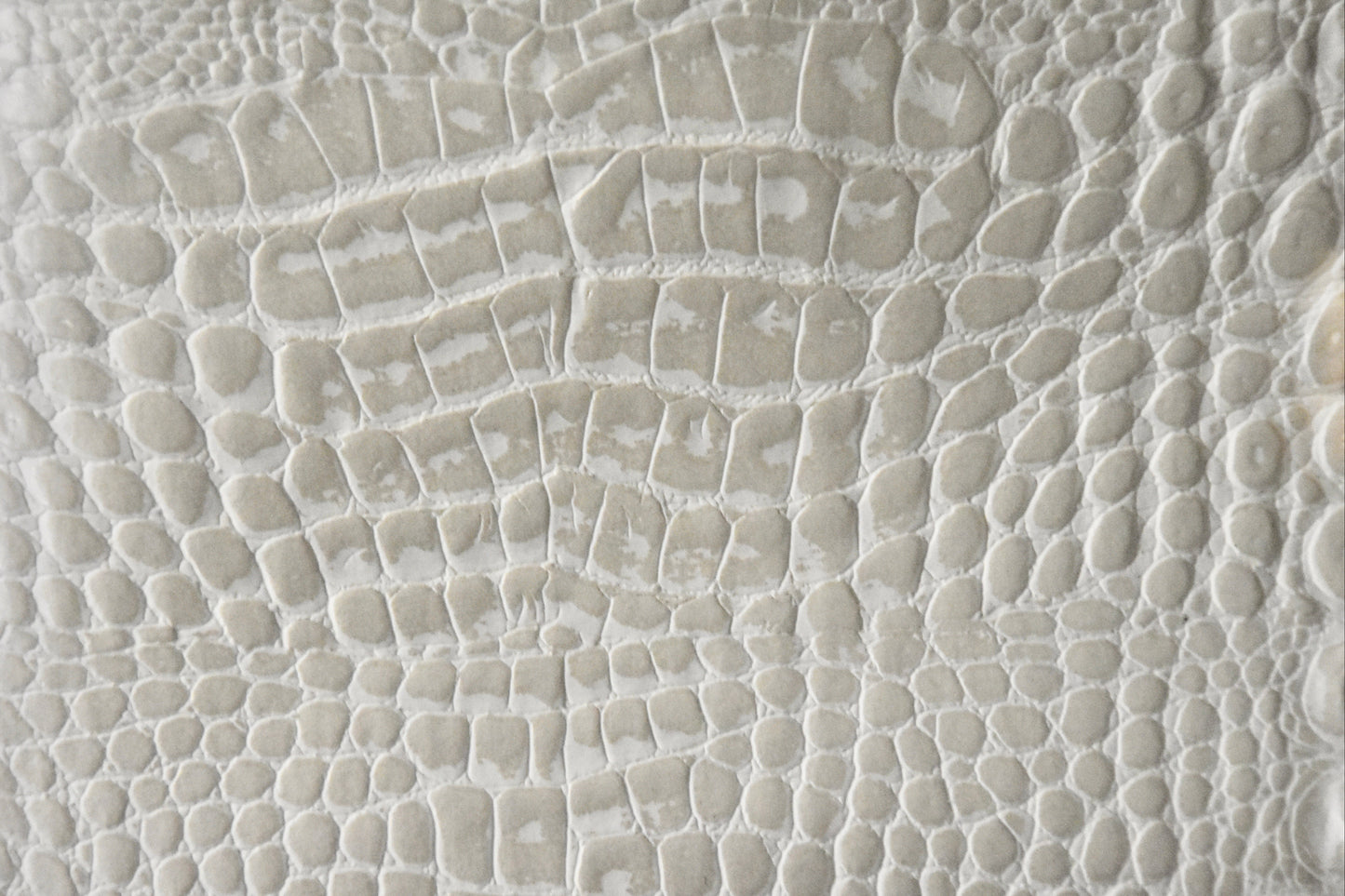 The East-West Handbag — Bone 'Aqualine Marine Crocodile'