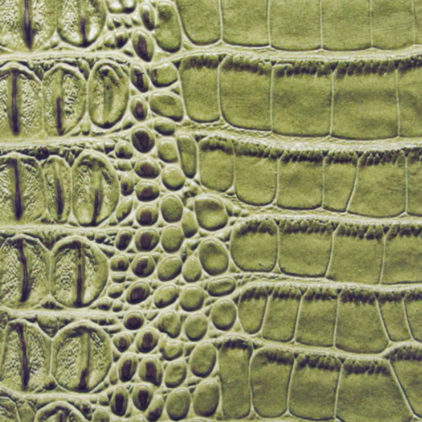 The East-West Handbag — Matcha 'Big Crocodile'